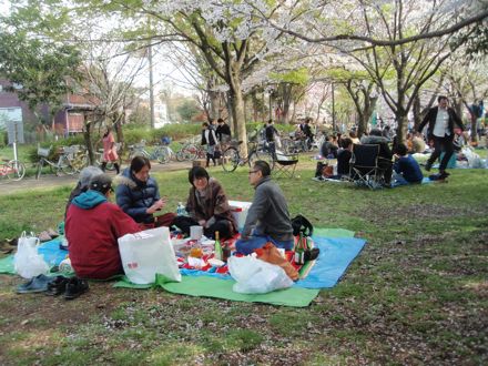 hanami.jpg